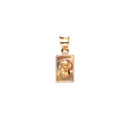 MEDALLA SAGRADO CORAZON RECTANGULAR
ORO FLORENTINO 10K MEX