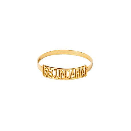 ANILLO **GRADUACION SECUNDARIA LETRA
ORO 10K MEX
MEDIDAS: SUJETO A DISPONIBILIDAD 
PARA CONFIRMACION DE DISPONIBILIDAD COMUNICA