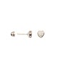 BROQUEL B CORAZON BISEL 03
CIRCONIA 3 MM
TIPO DE BROCHE: ROSCA
ORO BLANCO 14K MEX